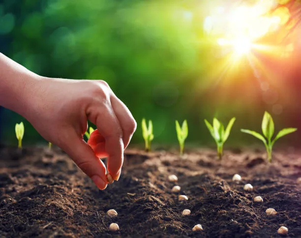 Agriculture